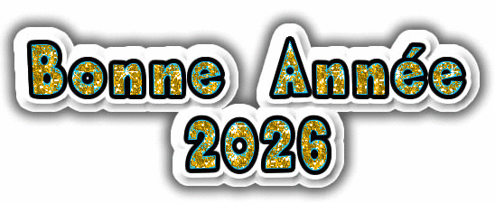 Gif feux d'artifice Bonne 2026 