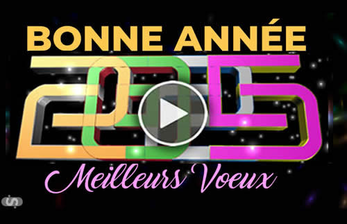 Vidéo du nouvel an 2026 avec feux d'artifice