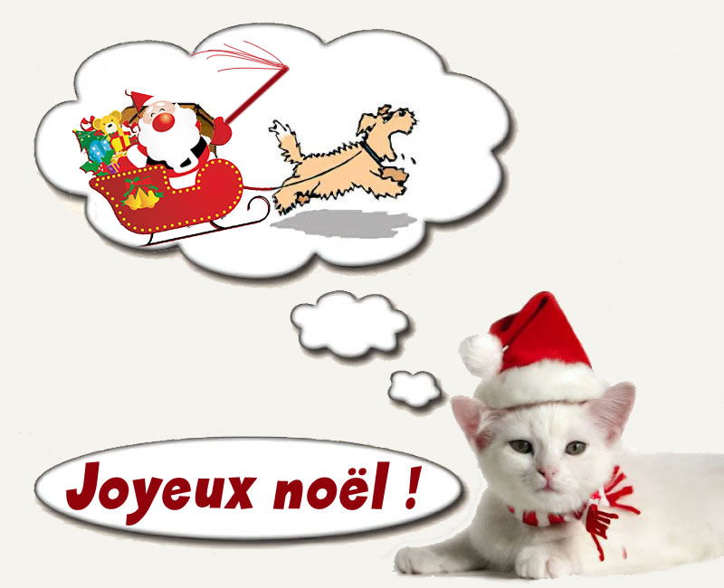 Image amusante avec un chat pensant à attacher le chien au traîneau du Père Noël