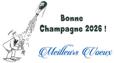 image drôle avec une bouteille de champagne volant dans le toast du nouvel an